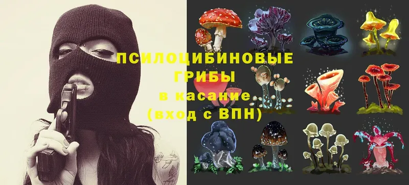 Псилоцибиновые грибы Magic Shrooms Дмитровск